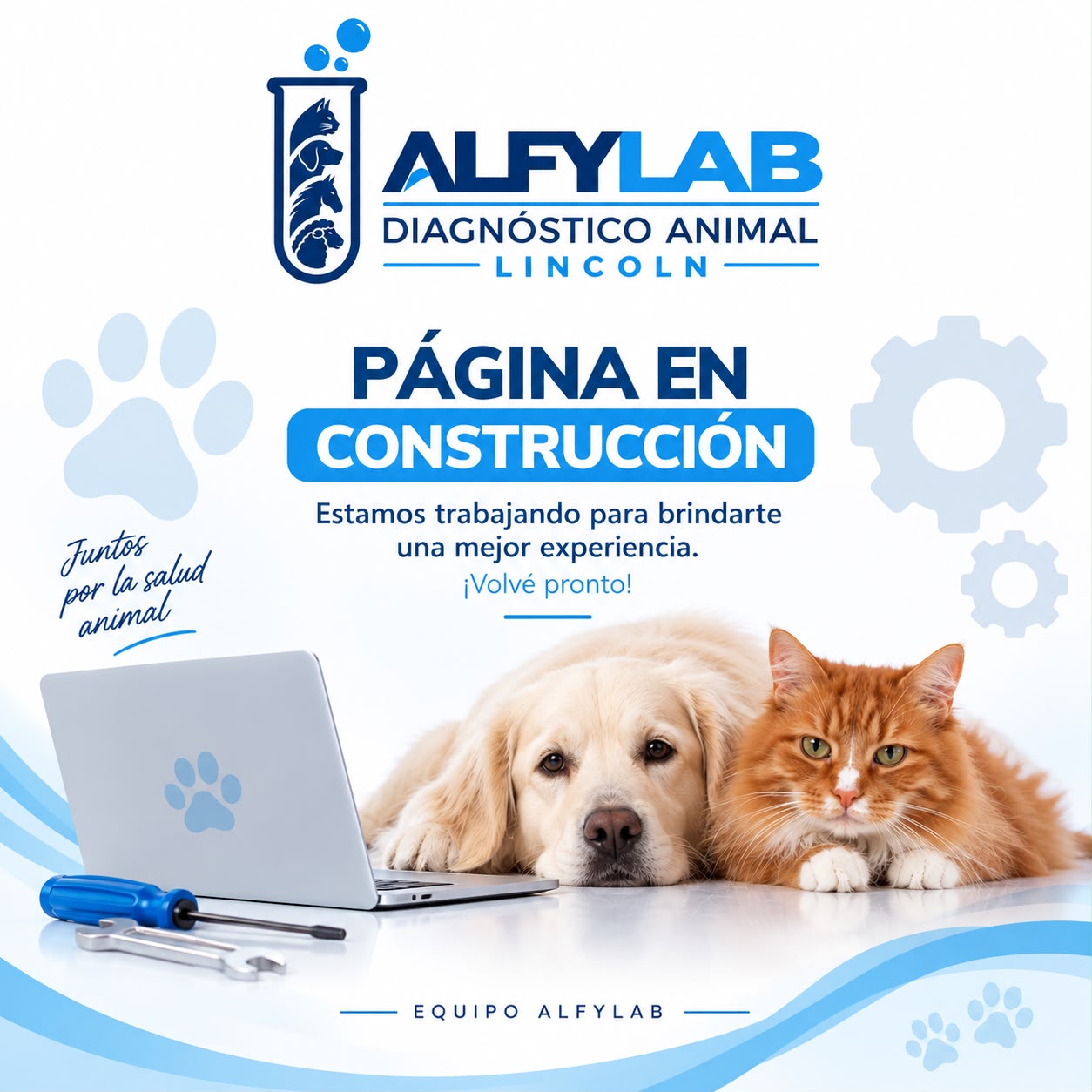ALFYLAB - P�gina en Construcci�n